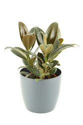 Similar image 1079956