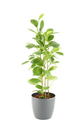 Similar image 1079958