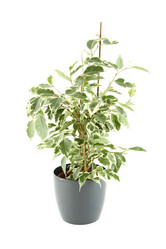 Similar image 1079959