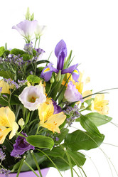 Similar image 1079962