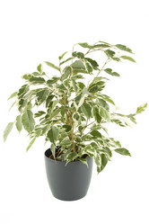 Similar image 1079961