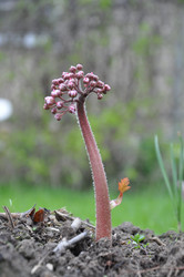 Similar image 1080027