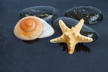 Similar image 1080064