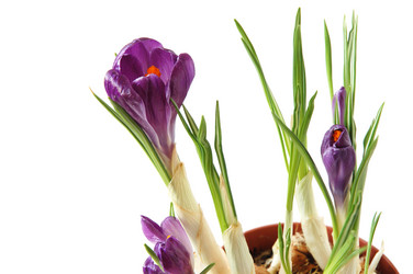 Similar image 1080066