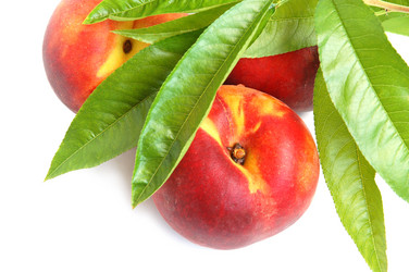 Similar image 1080073