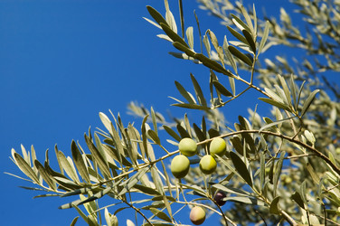 Similar image 1080086