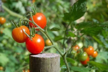 Similar image 1080084