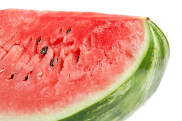 Similar image 1080098