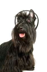 Similar image 1080117