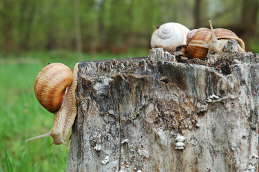 Similar image 1080124