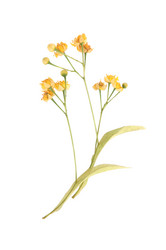 Similar image 1080122