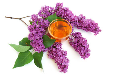 Similar image 1080166