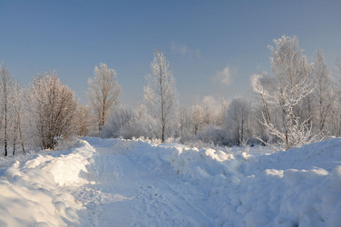 Similar image 1080168