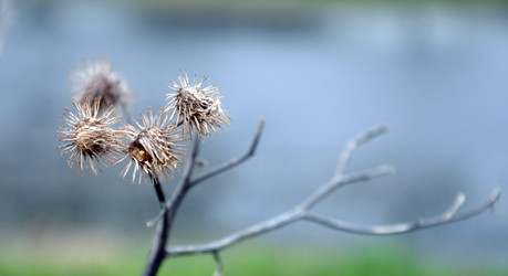 Similar image 1080207