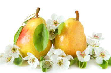 Similar image 1080250