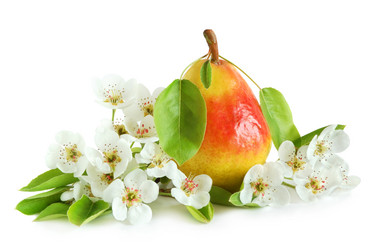 Similar image 1080249