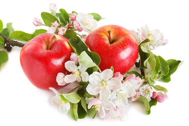 Similar image 1080256