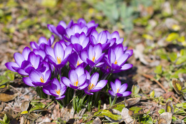 Similar image 1080433