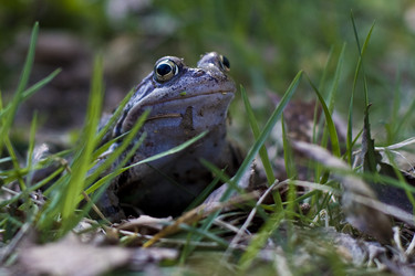 Similar image 1080439