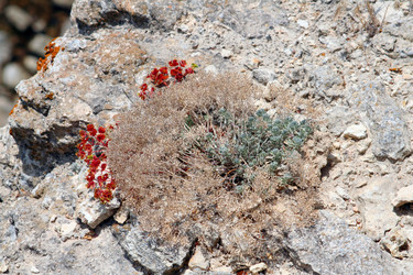 Similar image 1080442