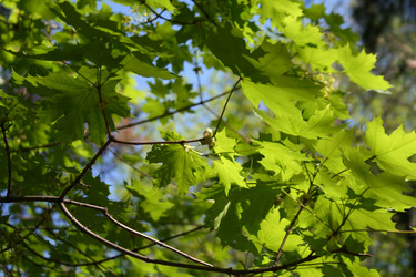 Similar image 1080464