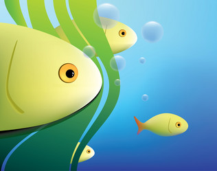 Similar image 1080465