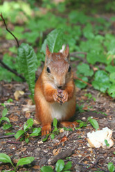 Similar image 1080472