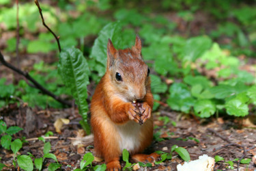 Similar image 1080502