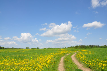 Similar image 1080519