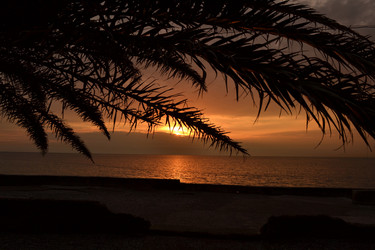 Similar image 1080524