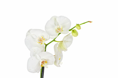 Similar image 1080559