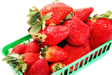 Similar image 1080658