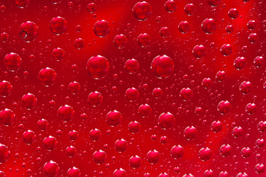 Similar image 1080729