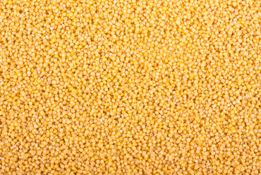 Similar image 1080788