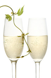 Similar image 1080790