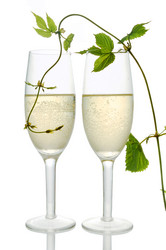 Similar image 1080796