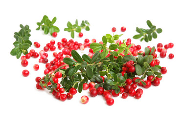 Similar image 1080834