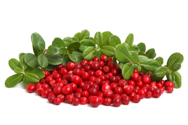 Similar image 1080836