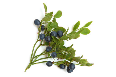 Similar image 1080837