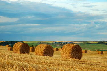 Similar image 1080840