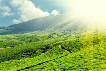 Similar image 1080865