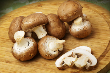 Similar image 1080896