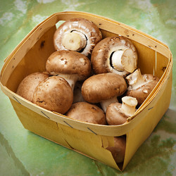 Similar image 1080902