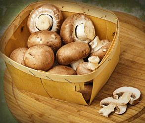 Similar image 1080903