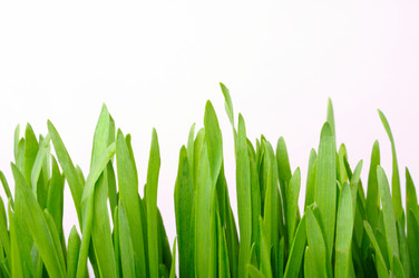 Similar image 1080906