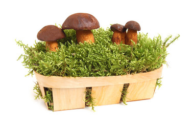 Similar image 1080909