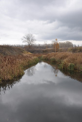 Similar image 1081011