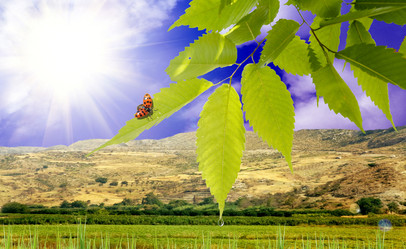 Similar image 1081021