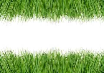 Similar image 1081028