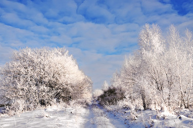 Similar image 1081058